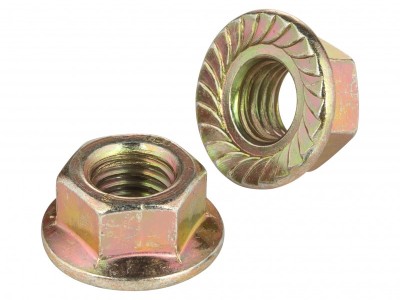 Hexagon Flange Nuts