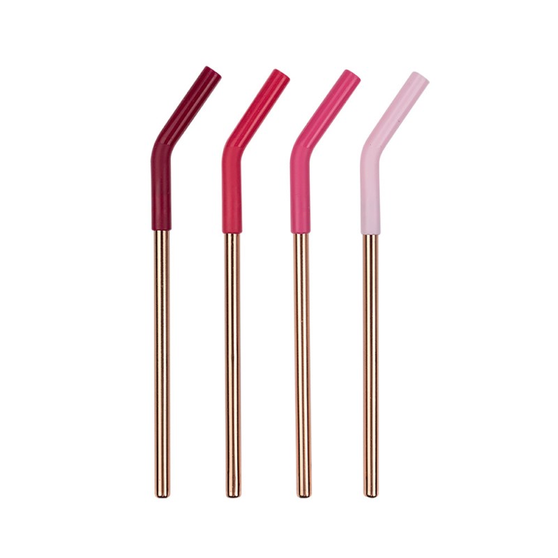 Silicone Tip Stainless Steel Reusable Straw