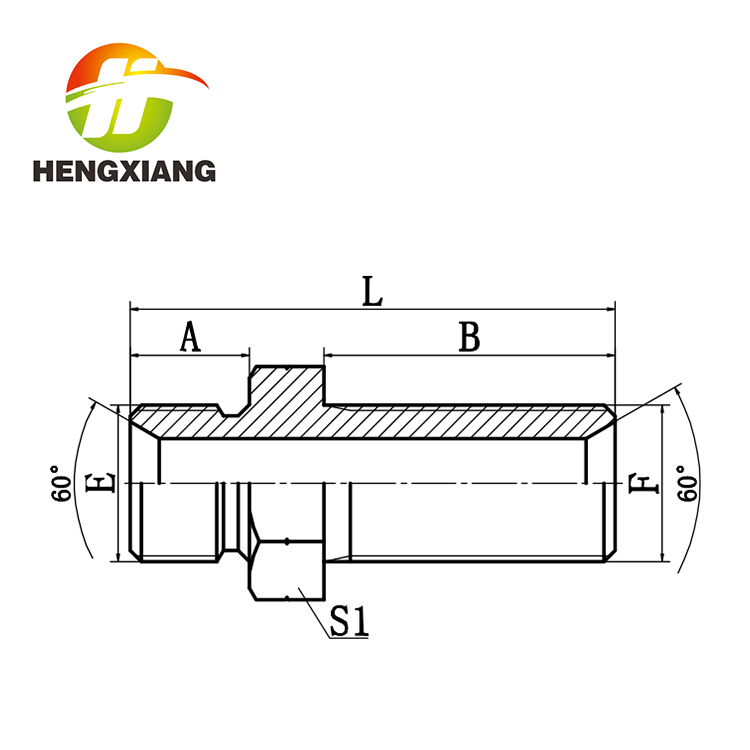 BSP MALE 60°SEAT BULKHEAD - 6B
