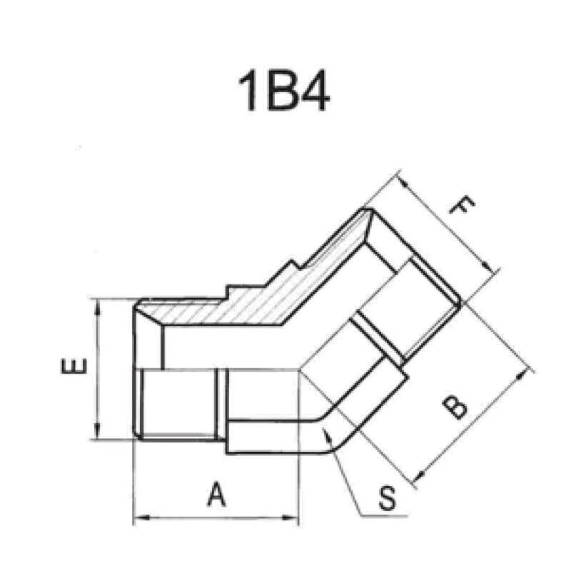 45°BSP MALE 60°SEAT