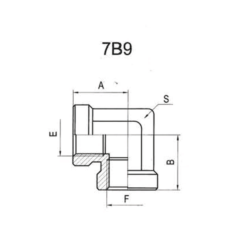 90°BPS FEMALE FEMALE