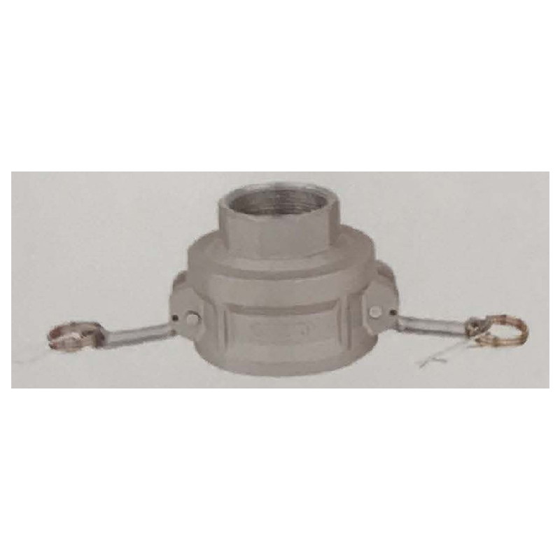 Type D Female Coupler/Female Thread