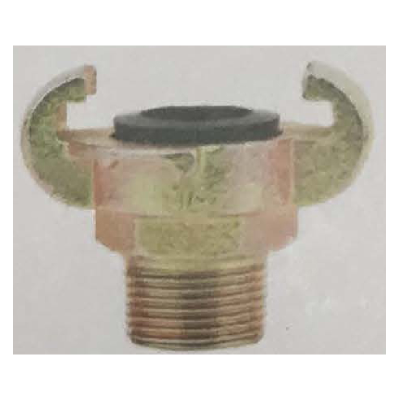 European Type Male Type Carbon Steel/Malleable Cast lron