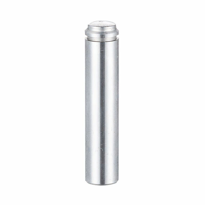 Plunger