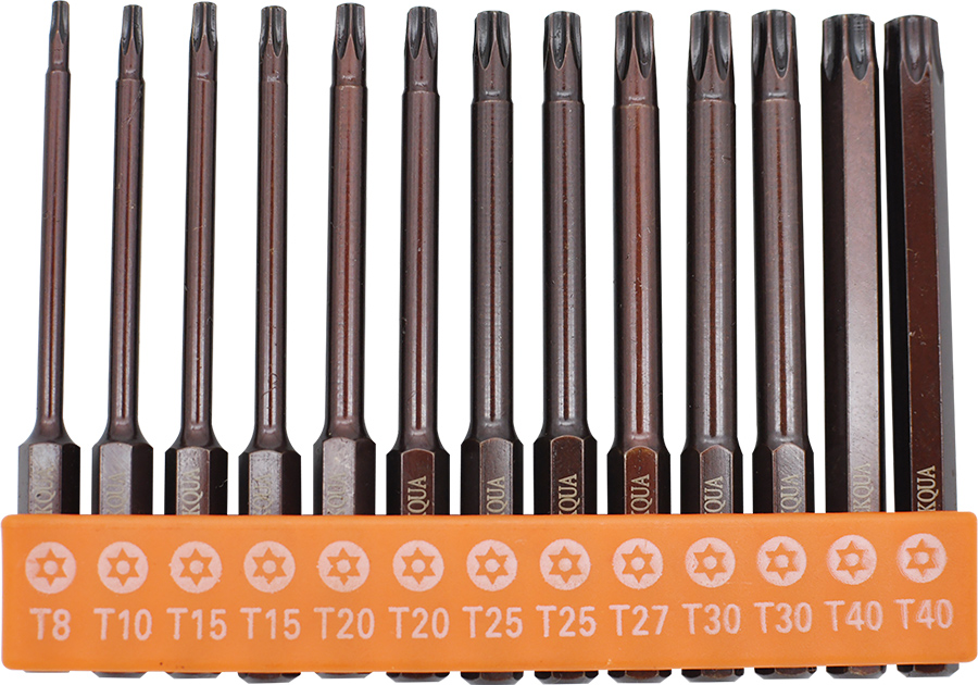 13PCS SCREWDRIVER BITS SET