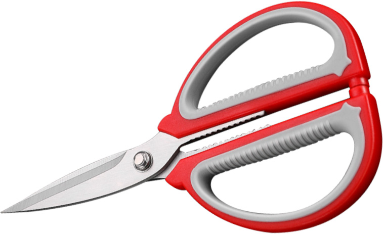 KITCHEN SCISSORS