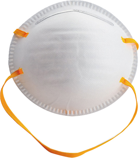 10PCS FFP1 DUST MASK