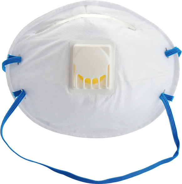 10PCS FFP2 DUST MASK