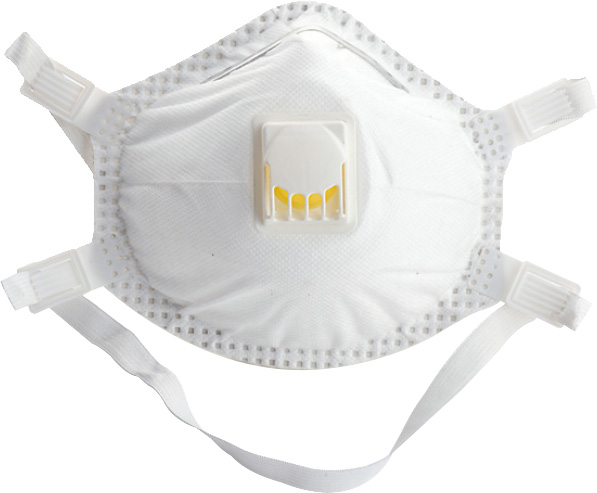 10PCS FFP3 DUST MASK