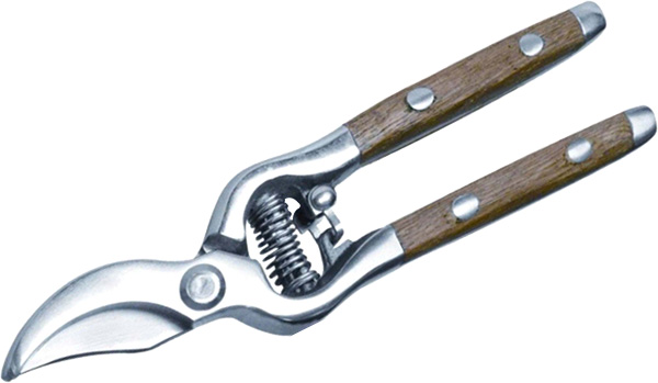 PRUNING SHEARS