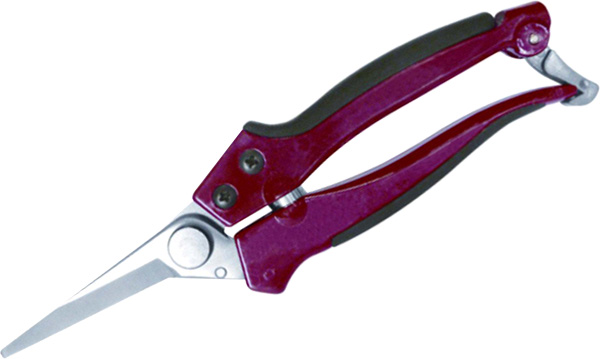 PRUNING SHEARS