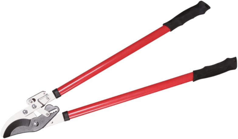LOPPING SHEARS