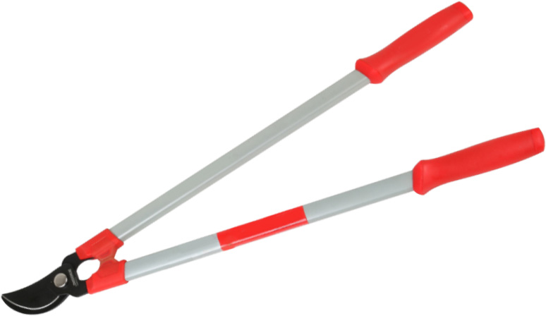 LOPPING SHEARS