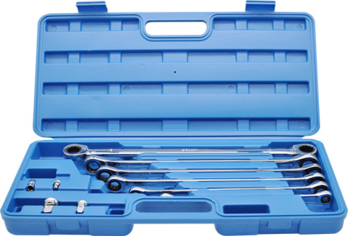 10PCS DOUBLE RING RATCHET SPANNER SET