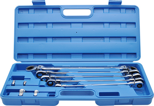 10PCS DOUBLE FLEXIBLE RING RATCHET SPANNER SET